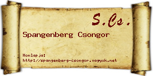 Spangenberg Csongor névjegykártya